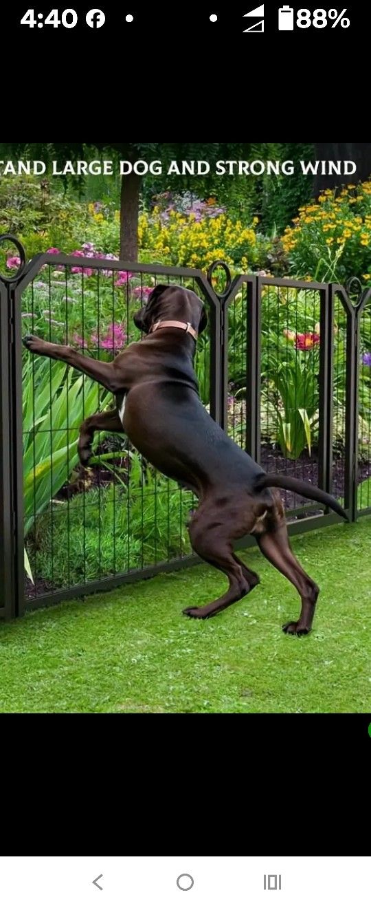 DOG Gate 8 Panels