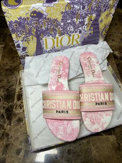 Christian Dior Dway Slides In Pink
