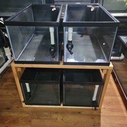 40 Gallon Breeder Aquarium/ Fish Tank Thumbnail