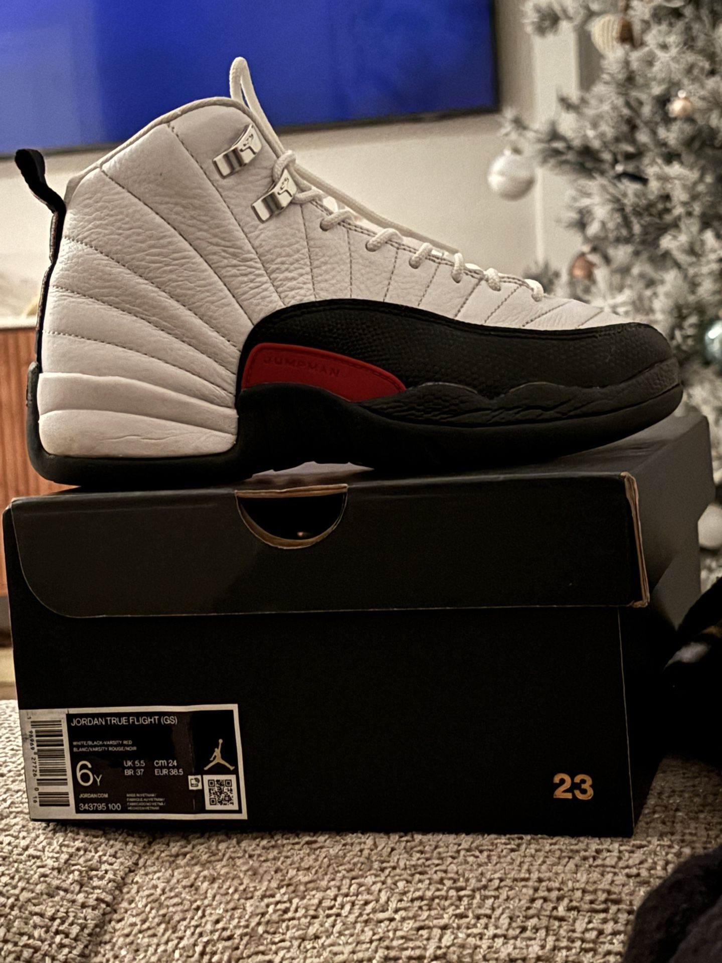 Jordan Retro 12