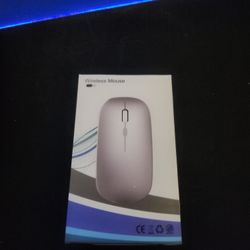 New Portable And WORK Mouse 