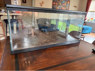 40 gallon terrarium with mesh lid