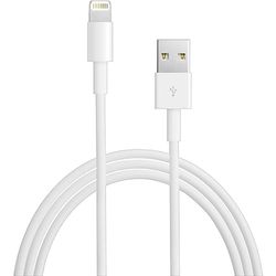 Iphone ipad lightening cable 2 pk 8 pin to usb