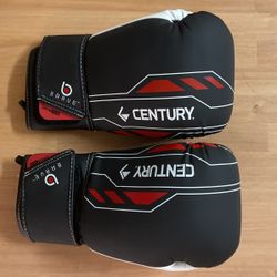 Kickboxing Gloves