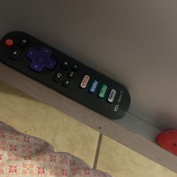 Roku 