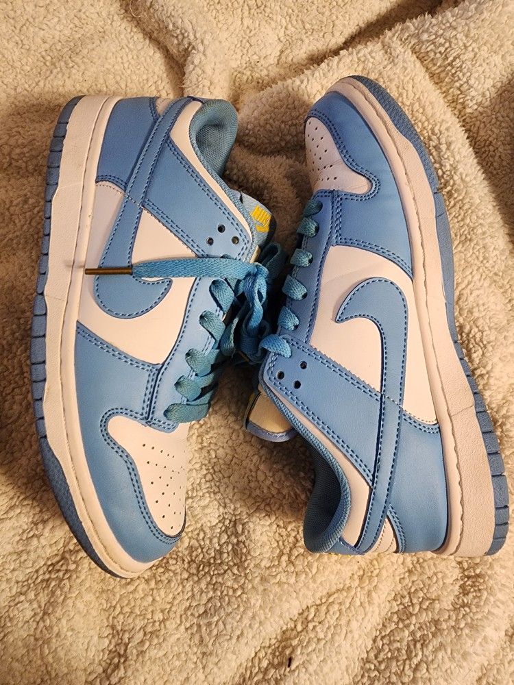 Women Dunks Coast
