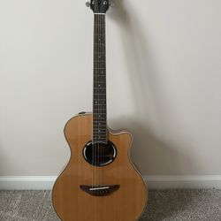 Yamaha APX500III