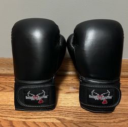 Kickboxing Gloves