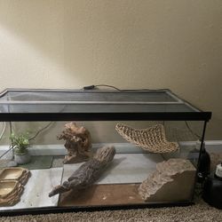 40 gallon Bearded dragon cage