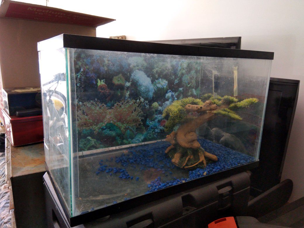 Smaller fish tank