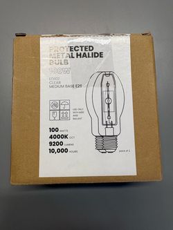 Protected metal halide bulb
