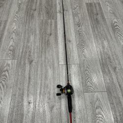 Quantum Casting Rod Combo