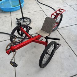 Custom Tricycle Very Unique