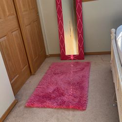 Pink Rug and Mirror
