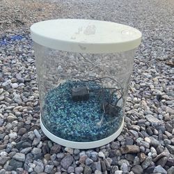 Small Fish Tank 