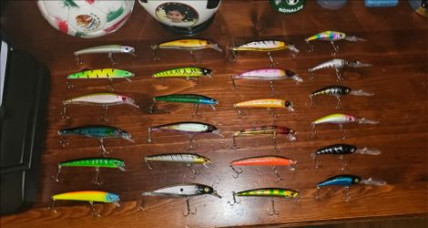 Variety Of Lures