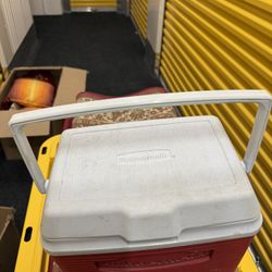 Small Fridge For The Beach