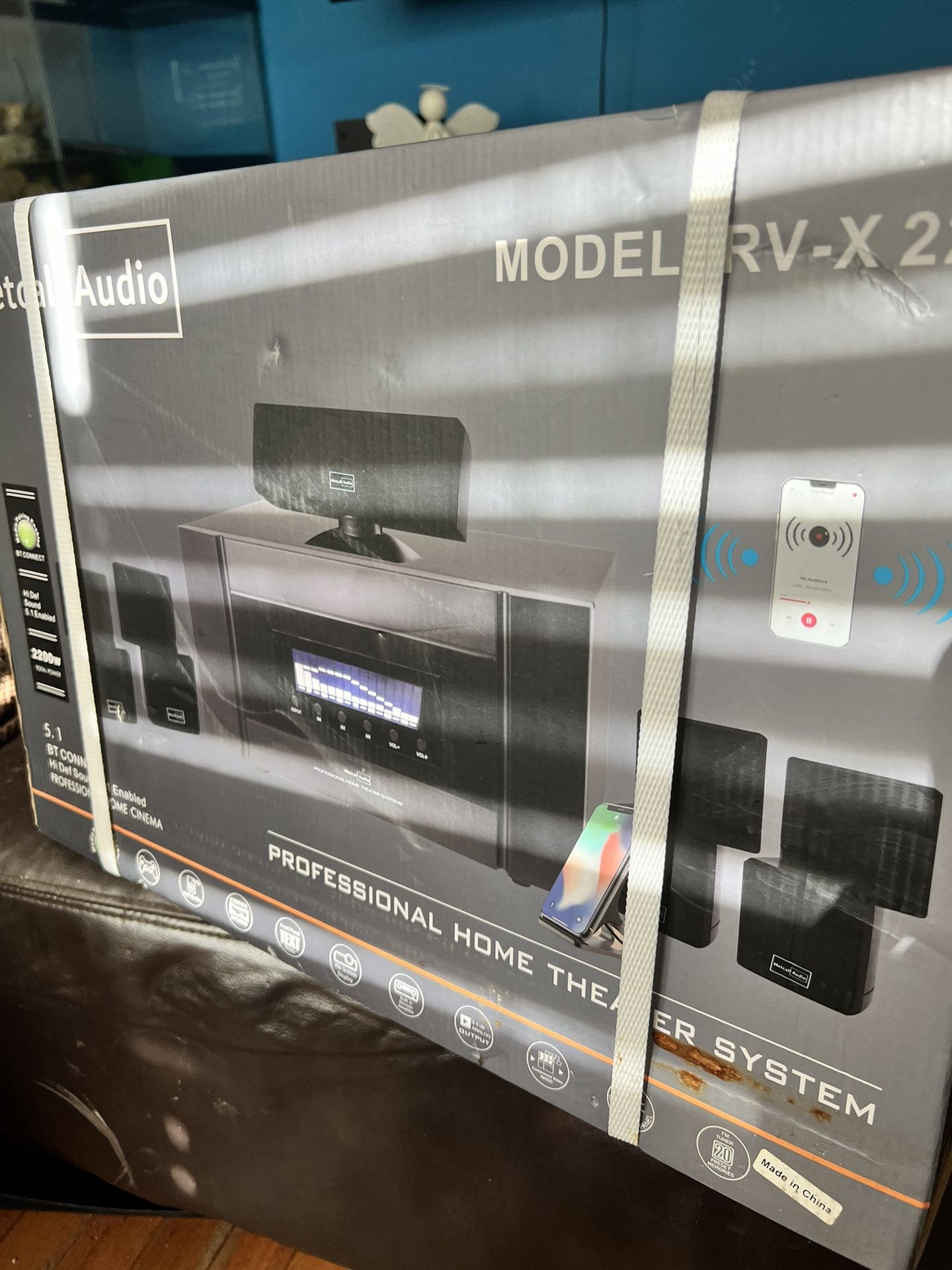 Professional Home Theater
