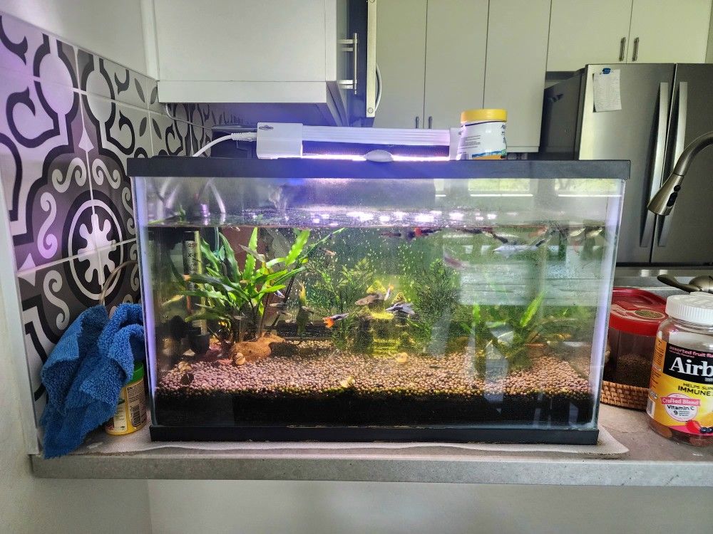 Aquarium Complete Set 