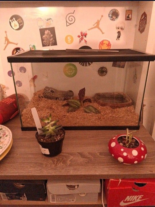20 Gal Tank