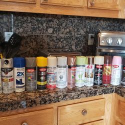 Spray Paint Any 6 Cans For 20.00 