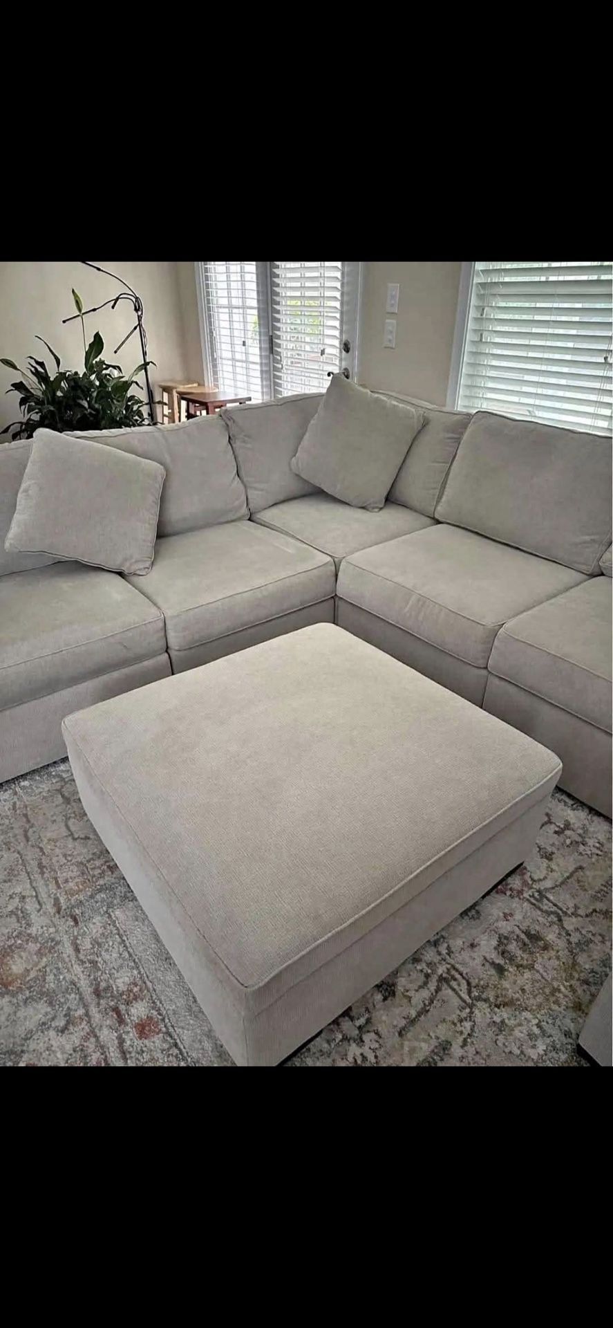 Living Room Couch