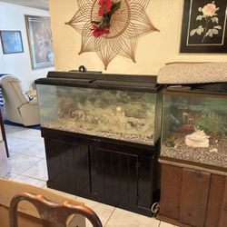 Fish Tanks