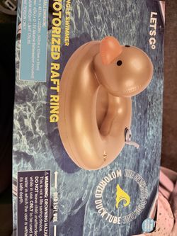Motorized Raft Duck
