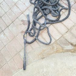 Water Hose 