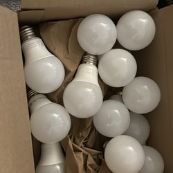 3000k 800 Lumens Light Bulbs - Count 12
