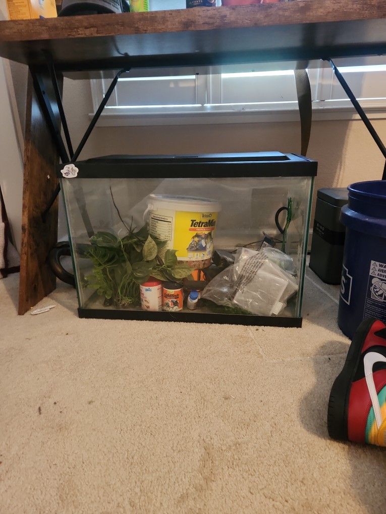 Fish Tanks