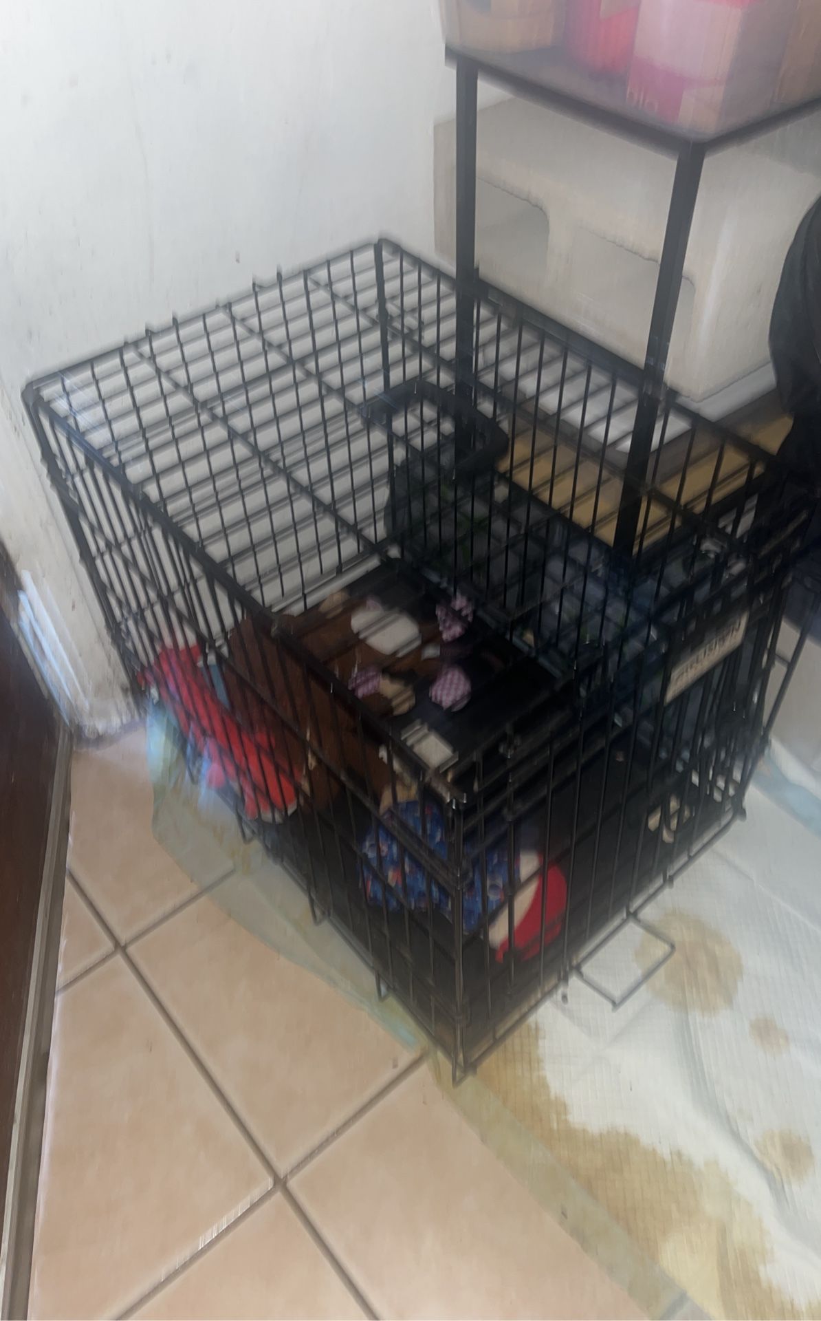 Dog Kennel For A Small Dog