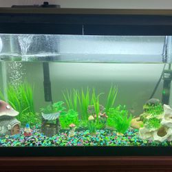 10 Size Fish Tank 