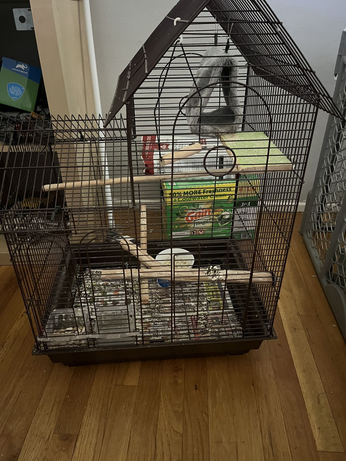 Bird Cage