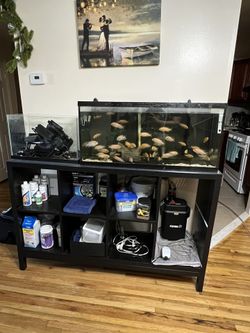 35 Gallon Fish Tank