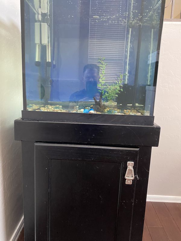 40 gallon complete set fish tank for Sale in Chandler, AZ OfferUp