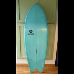 5’6” SD Fish Twin Fin Surfboard