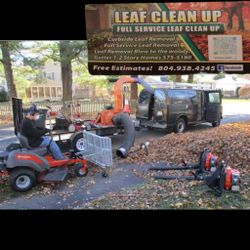 Leaf Vacuum