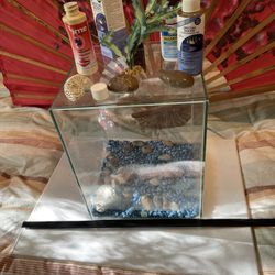  [ ] Aquariums. 12x10x10 inch With Accessory