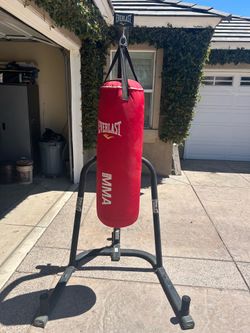 Everlast Freestanding Heavy Bag with Stand