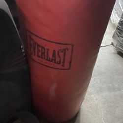 Everlasting Punching Bag 