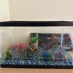 Aqueon Aquarium Fish Tank Starter Kit with LED Lighting 10 Gallon Fish Tank