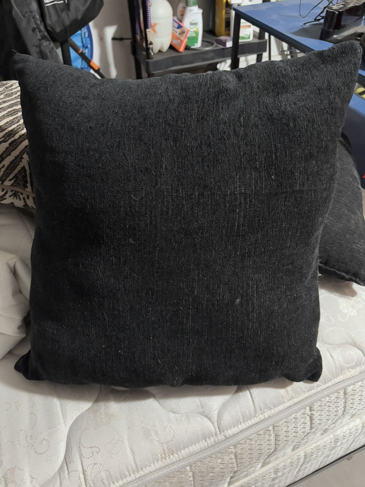 Free Couch Pillows