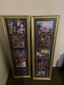 Pictures