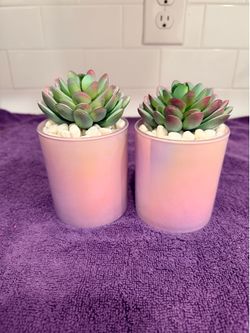 Decorating Bundle