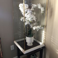 Butterfly Holding Terrarium For Wedding/funeral