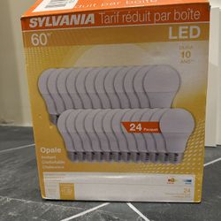 60 watt LED lightbulbs (warm) - 24 pack