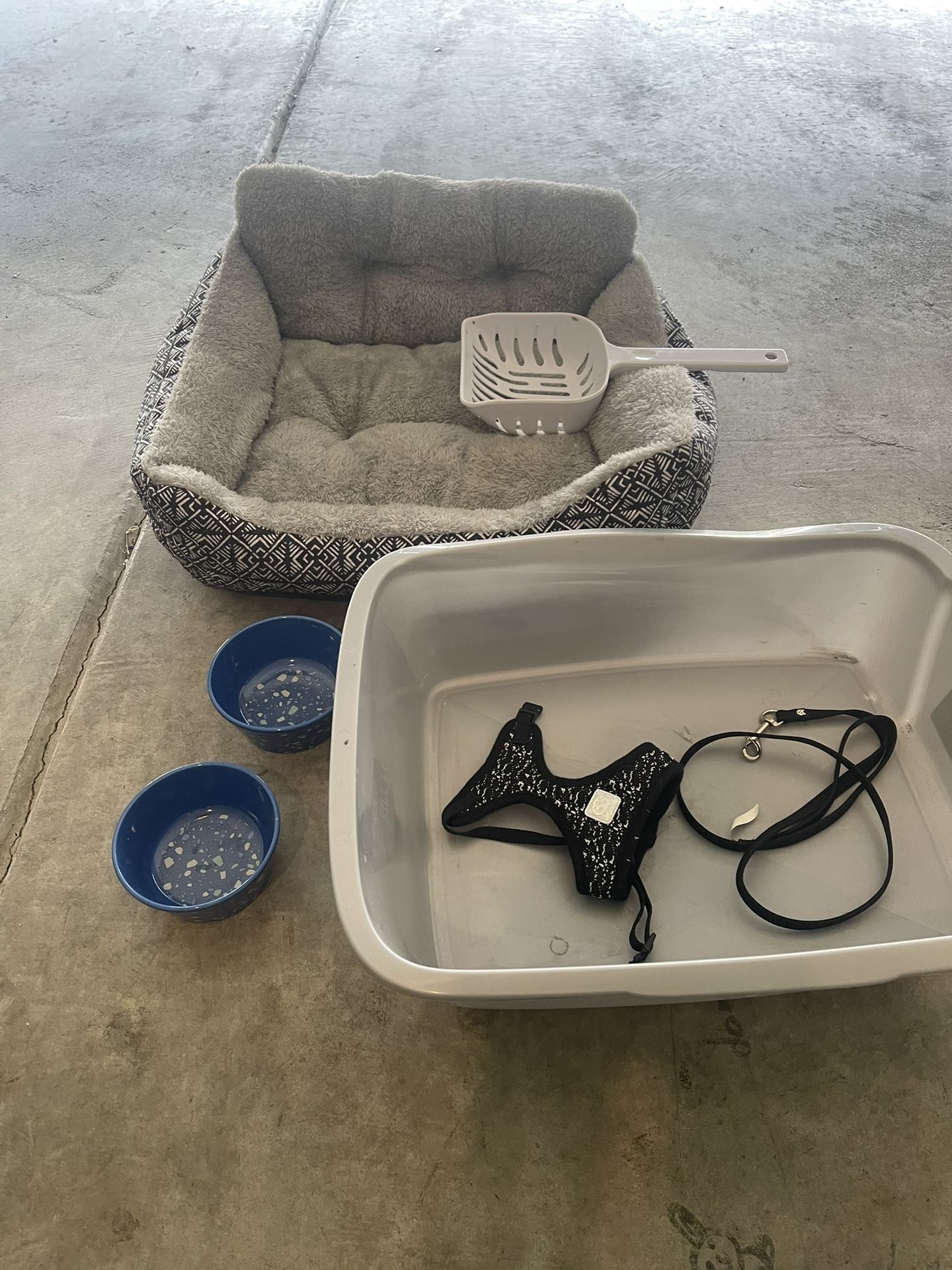 Cat Set