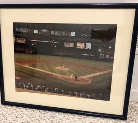 Busch Stadium Framed Photo