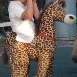 Safari Boy Riding A Girafe Costume
